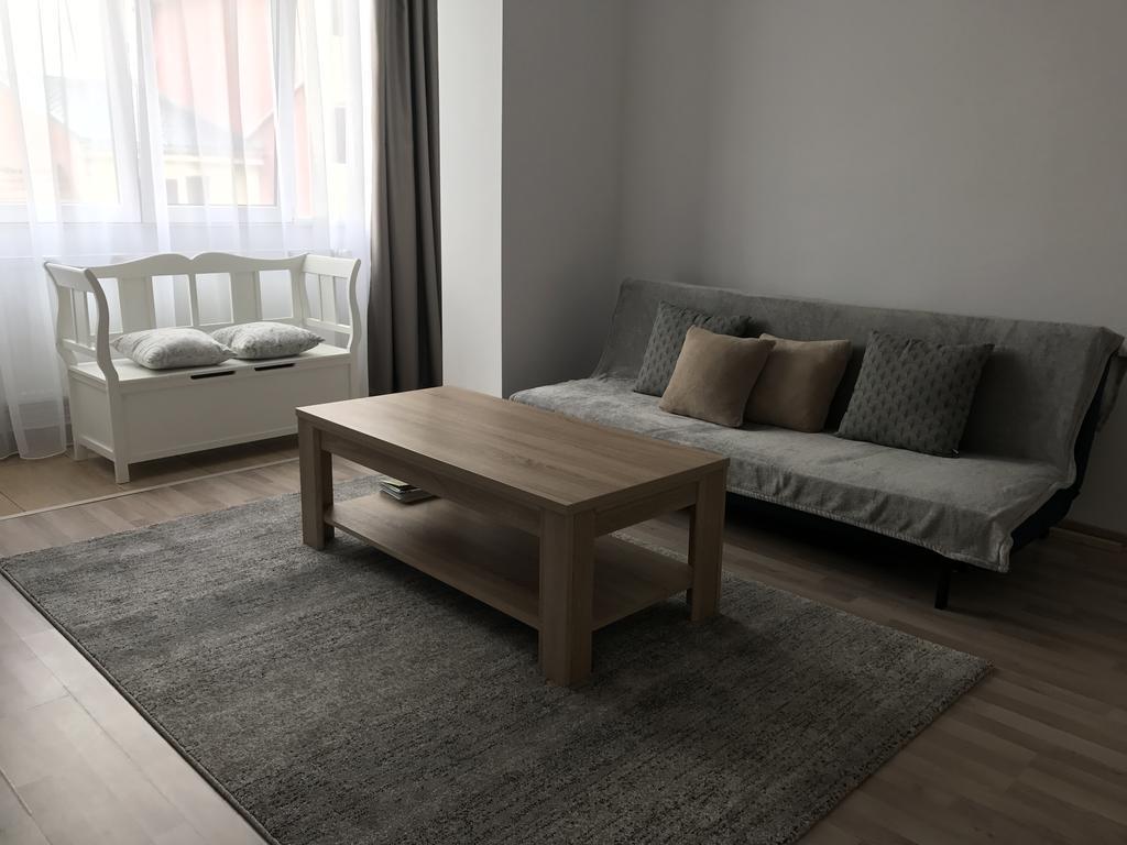 Joy Apartment ティミショアラ エクステリア 写真